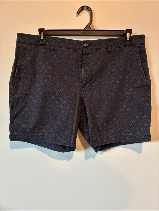 Hawker Rye Other - Men's Navy Geometric Flat-Front Shorts